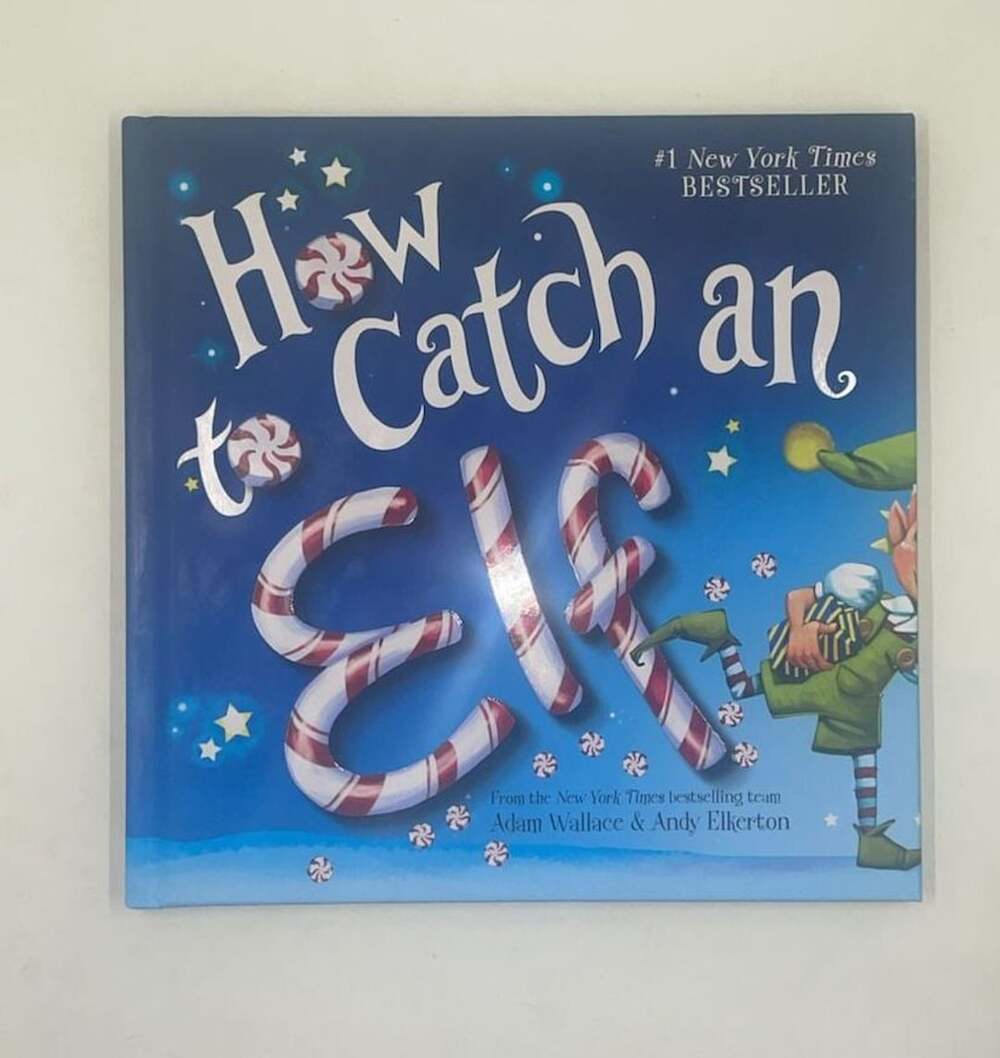 Sourcebooks How to Catch an Elf Hardcover Picture Book